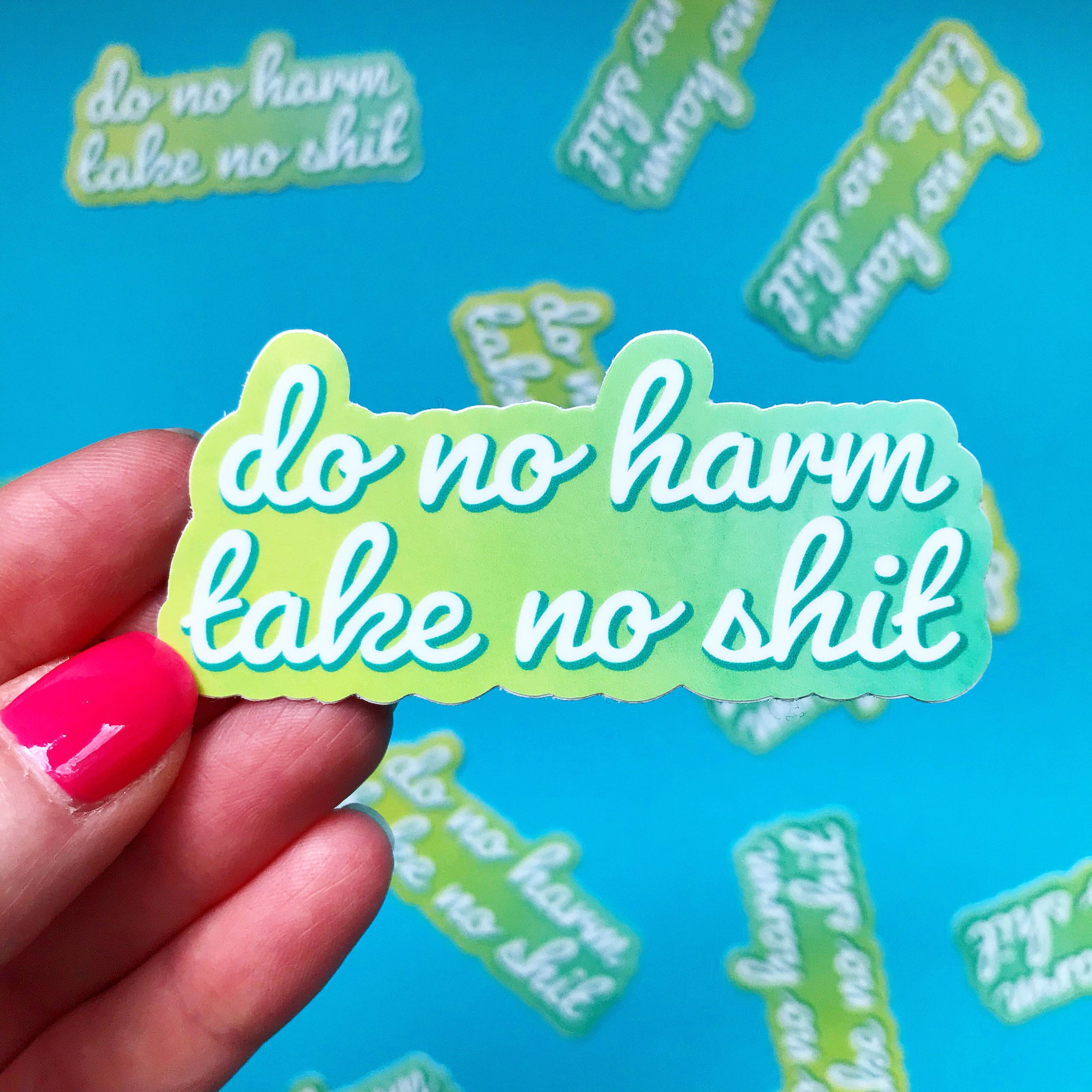 Do No Harm Take No Shit Vinyl Sticker